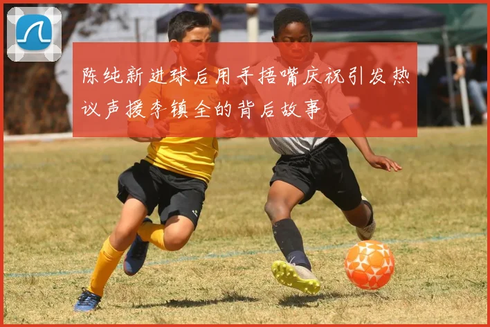 陈纯新进球后用手捂嘴庆祝引发热议声援李镇全的背后故事