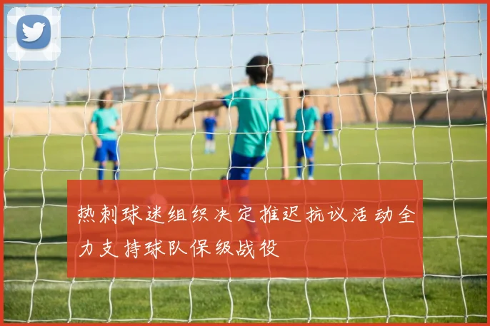 热刺球迷组织决定推迟抗议活动全力支持球队保级战役